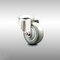 Service Caster 3 Inch 316SS Gray Polyurethane Wheel Swivel Bolt Hole Caster SCC-SS316BH20S314-PPUB - alternate 1